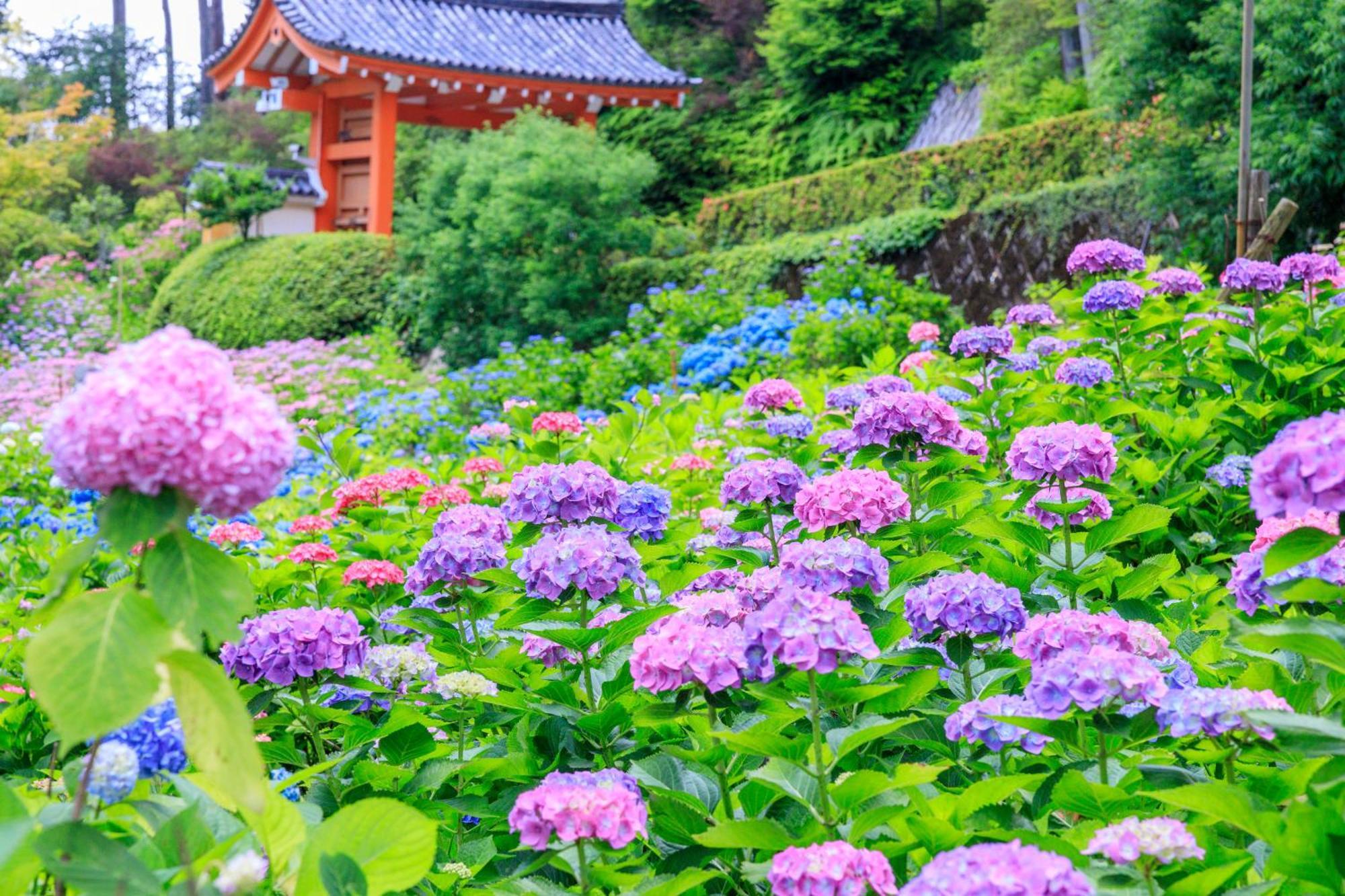 Mimaru Suites Kyoto Central Kültér fotó
